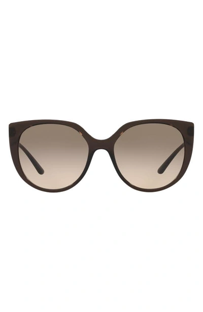 Dolce & Gabbana 54mm Mirrored Cat Eye Sunglasses In Brown/ Brown Gradient