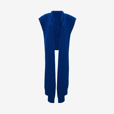 Alexander Mcqueen Cable Knit Skull Scarf In Electric Blue