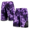 Mitchell & Ness Men's  Purple Toronto Raptors Hardwood Classics 1998 Galaxy Swingman Shorts In Purple