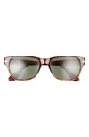 Persol 55mm Rectangular Sunglasses In Havana/ Green