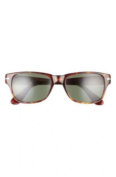 Persol 55mm Rectangular Sunglasses In Havana/ Green