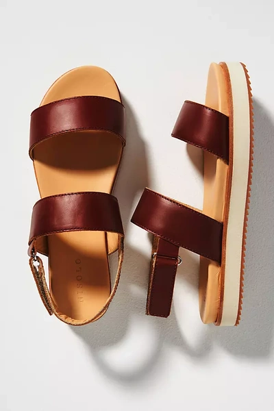 Nisolo Go-to Platform Sandals In Multicolor