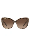 Dolce & Gabbana Print Family Sunglasses In Black Brown