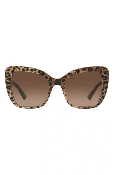Dolce & Gabbana Print Family Sunglasses In Leo Print