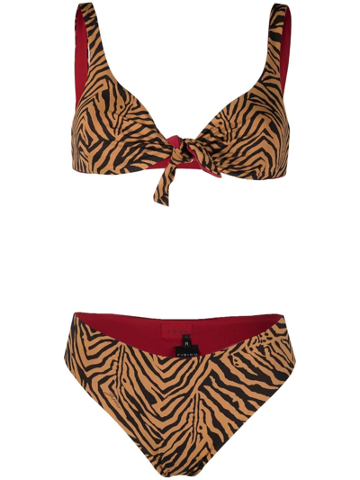 Fisico Tiger-print Bikini In Neutrals