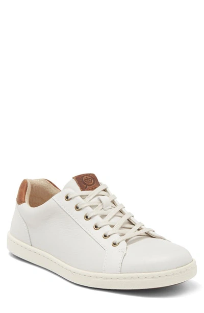 Brn Born Ashram Ii Lace-up Sneaker In White/ Dk Brown Sea Salt/ Rust