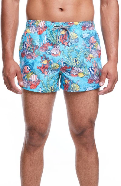 Boardies Coral Reef Shortie Swim Trunks In Blue