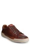 Allen Edmonds Porter City Sneaker In Chili