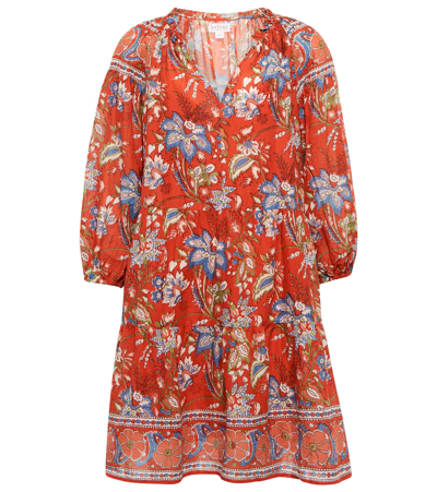 Velvet Lilah Printed Cotton Minidress In Rouge