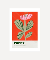 Amyisla Mccombie Poppy Unframed A3 Print In Multicoloured
