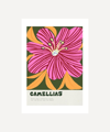 Amyisla Mccombie Camellias Unframed A3 Print In Multicoloured