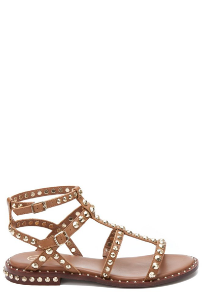 Ash Precious Buckle Fastened Sandals In Brown
