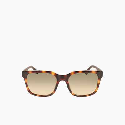Men's LACOSTE Sunglasses Sale, Up To 70% Off | ModeSens