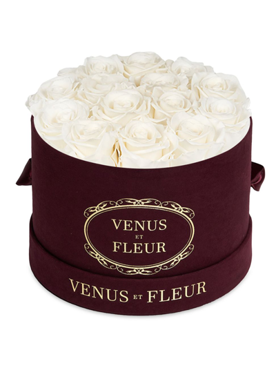 Venus Et Fleur Small Merlot Suede Box With Pure Blush Roses