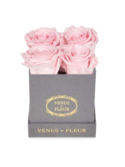 Venus Et Fleur Petite Square Suede Box With Pure Blush Roses