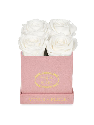 Venus Et Fleur Le Petit Pink Suede Rose Box
