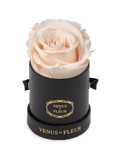 Venus Et Fleur Eternity De Venus Le Mini Round Eternity Rose