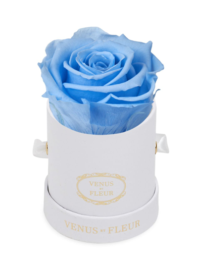 Venus Et Fleur Eternity De Venus Le Mini Round Eternity Rose