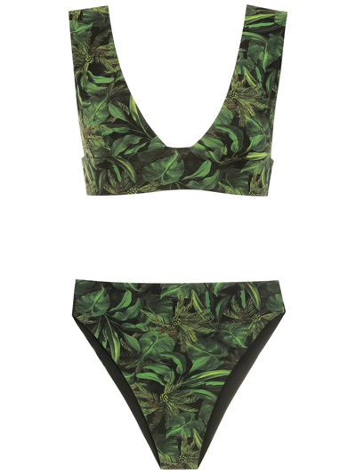 Isolda Coqueiral Foliage-print Bikini Set In Black