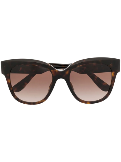 Dolce & Gabbana Tortoise Butterfly Frame Sunglasses In Brown