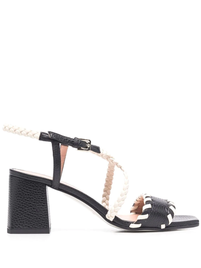 Pollini Whipstitch-trim Braided-strap Sandals In Black