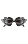 Loewe 47mm Tinted Oval Sunglasses In Shiny Black / Smoke