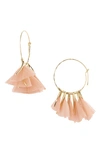 Gas Bijoux Marly Feather Hoop Earrings In Dusty Pink