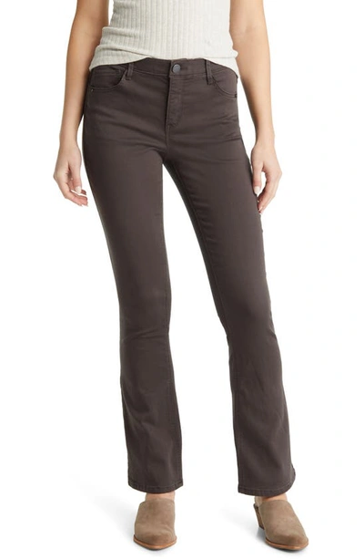 Wit & Wisdom 'ab'solution Itty Bitty High Waist Bootcut Trousers In Espresso