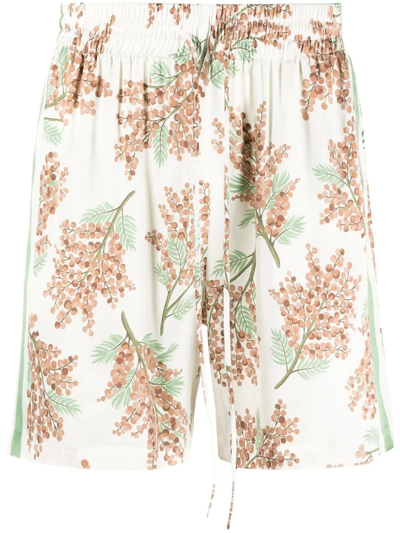 Mouty Bermuda Shorts With Floral Print In Multicolour