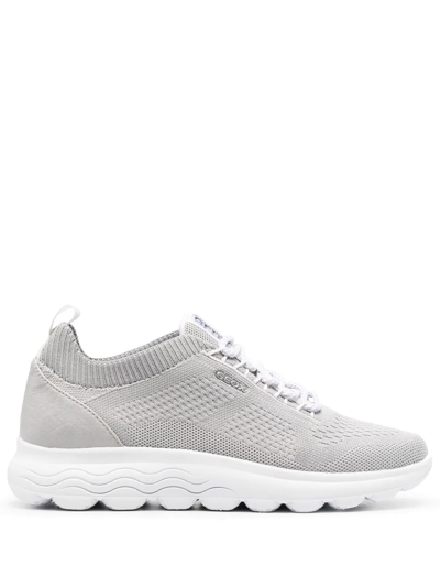 Geox Spherica Lace-up Knit Sneakers In Grey