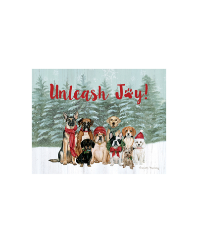 Lang Unleash Joy Boxed Christmas Cards In Multi