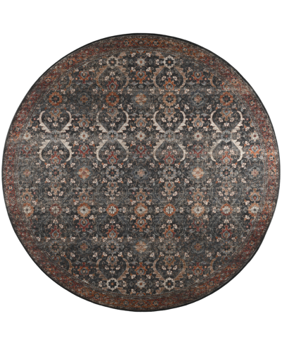 D Style Basilic Bas1 4' X 4' Round Area Rug In Charcoal