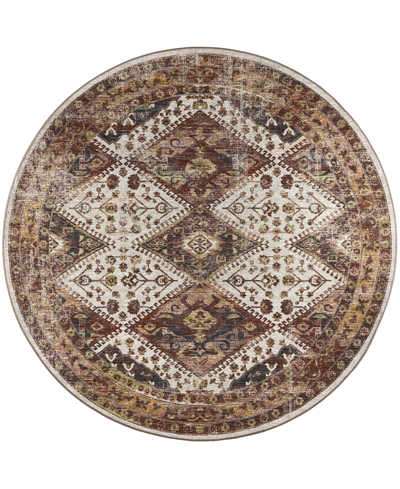 D Style Basilic Bas9 4' X 4' Round Area Rug In Brown