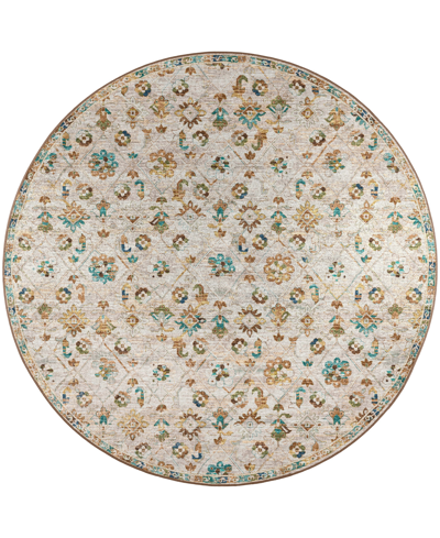 D Style Basilic Bas8 4' X 4' Round Area Rug In Beige