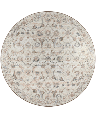 D Style Basilic Bas4 6' X 6' Round Area Rug In Multi