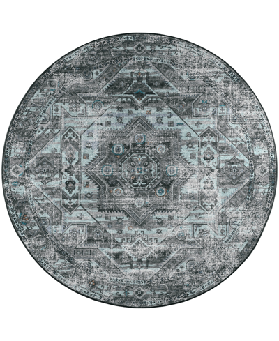 D Style Basilic Bas5 4' X 4' Round Area Rug In Gray