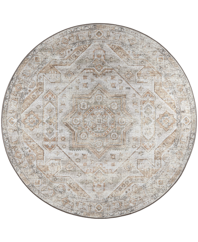 D Style Basilic Bas5 4' X 4' Round Area Rug In Silver Tone