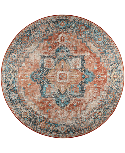 D Style Basilic Bas2 8' X 8' Round Area Rug In Copper