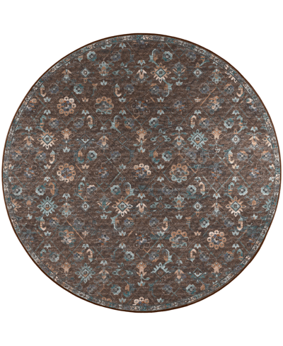 D Style Basilic Bas8 4' X 4' Round Area Rug In Sable