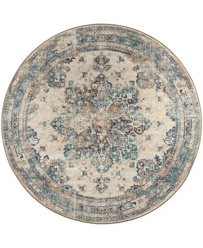 D Style Basilic Bas6 4' X 4' Round Area Rug In Multi