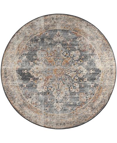 D Style Basilic Bas6 4' X 4' Round Area Rug In Charcoal