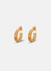 Versace Greca Hoop Earrings, Female, Warm Gold, One Size
