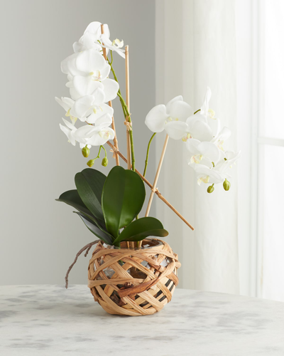 Exclusive Orchids 24" Faux Floral Arrangement In Rattan-wrapped Glass Vase