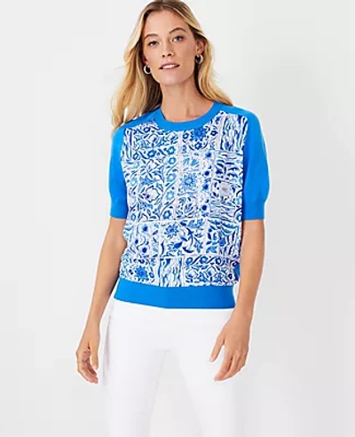 Ann Taylor Petite Tile Mixed Media Sweater Tee In Nile Blue