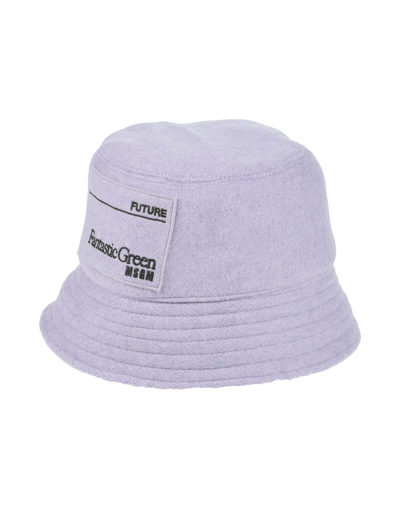 Msgm Hats In Purple