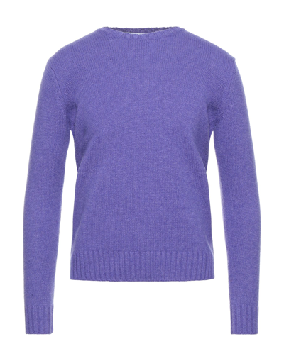 Parramatta Sweaters In Purple