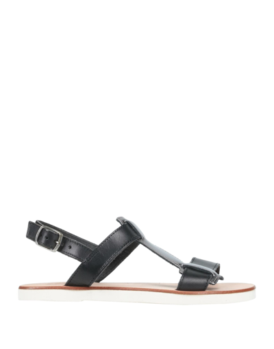 Studio Pollini Sandals In Black