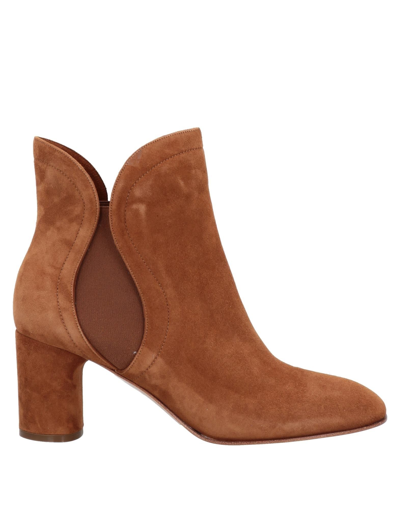 Casadei Ankle Boots In Brown