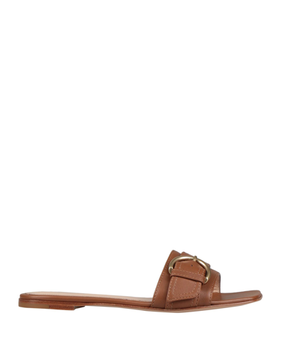 Gianvito Rossi Sandals In Tan