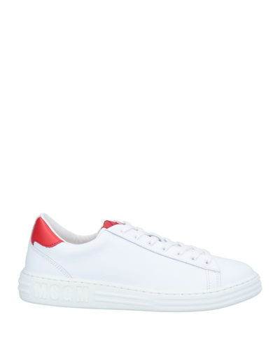 Msgm Sneakers In White